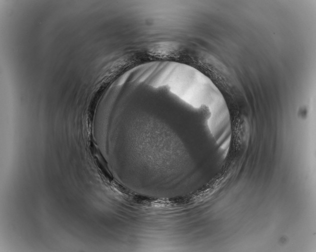 X0000098170420200805081005