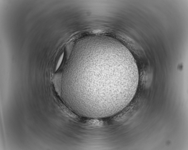 X0000098170421200805081005