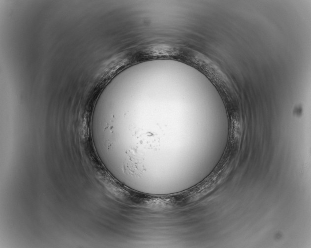 X0000098170422200805081005