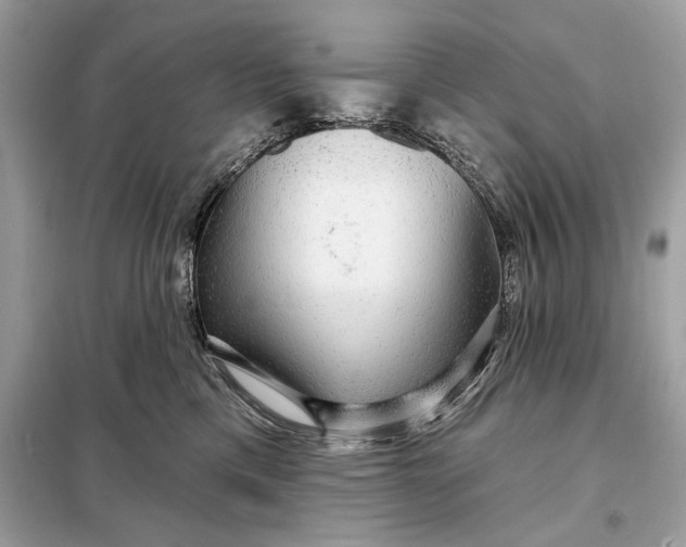 X0000098170425200805081005