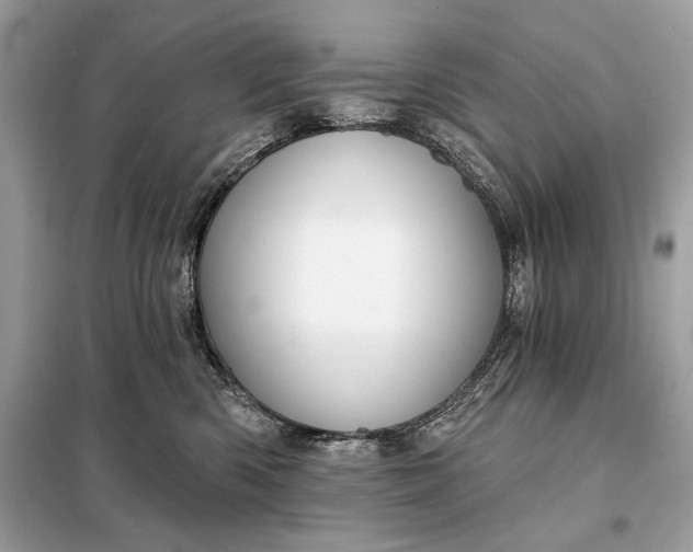 X0000098170426200805081005