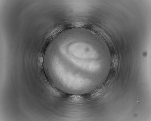 X0000098170427200805081005