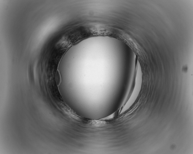 X0000098170429200805081005