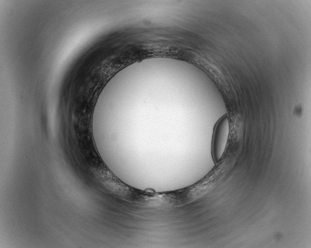 X0000098170430200805081005