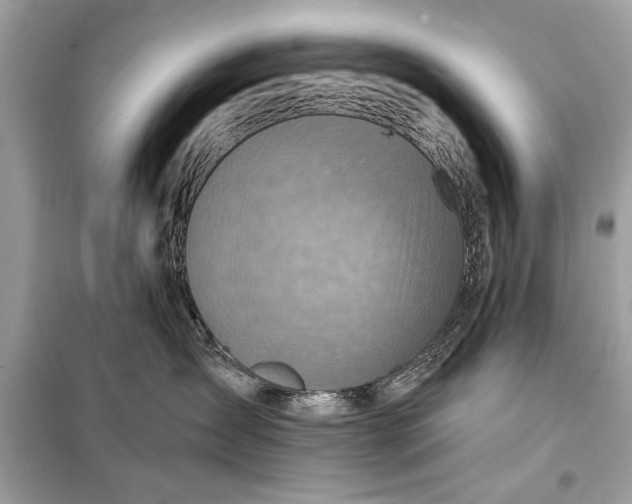 X0000098170431200805081005