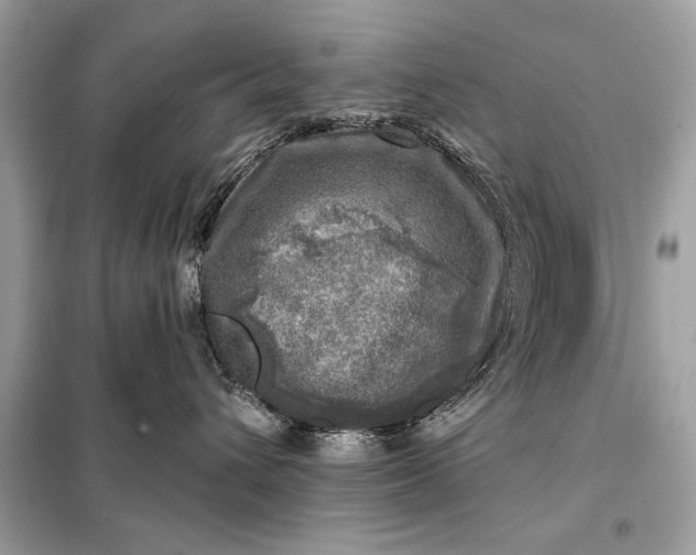 X0000098170432200805081005