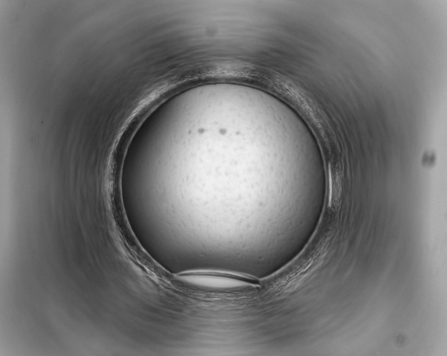 X0000098170435200805081004