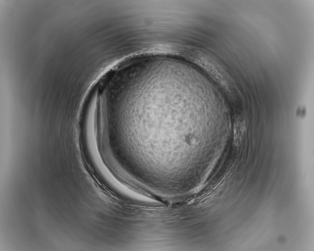 X0000098170436200805081004