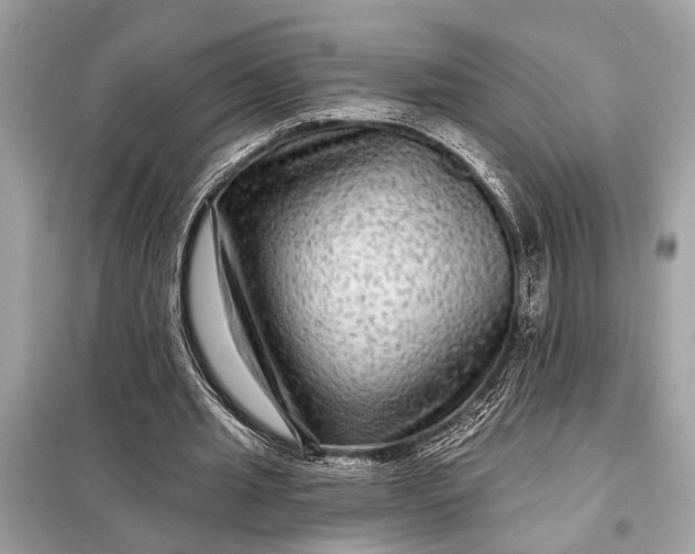 X0000098170437200805081004