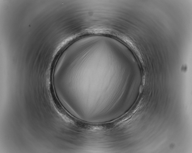 X0000098170438200805081004