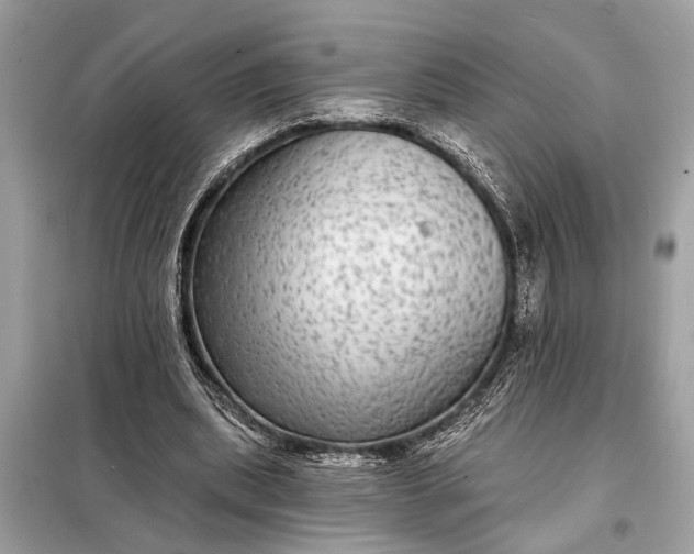 X0000098170439200805081004