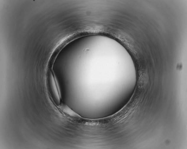 X0000098170440200805081004