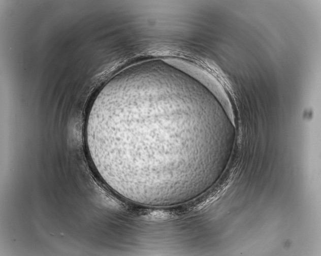 X0000098170441200805081004