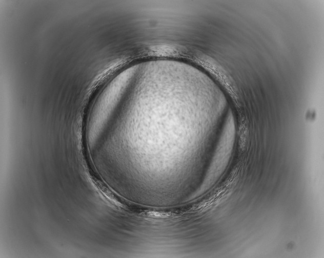 X0000098170442200805081004