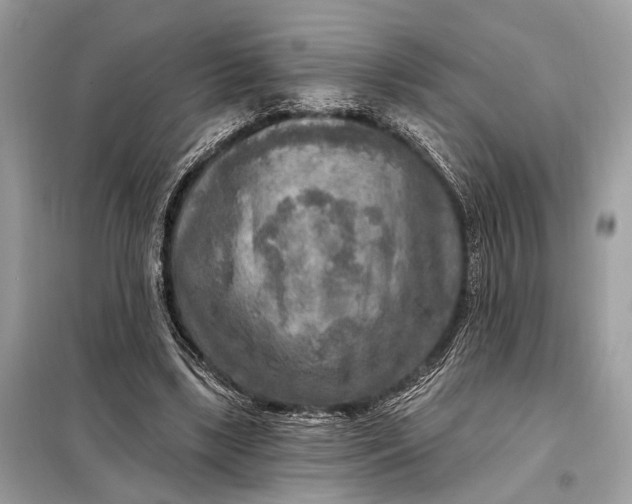 X0000098170443200805081005