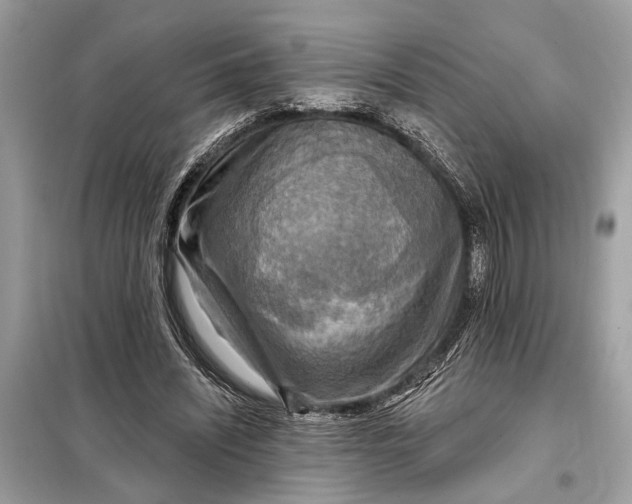 X0000098170444200805081005