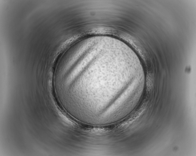 X0000098170445200805081005