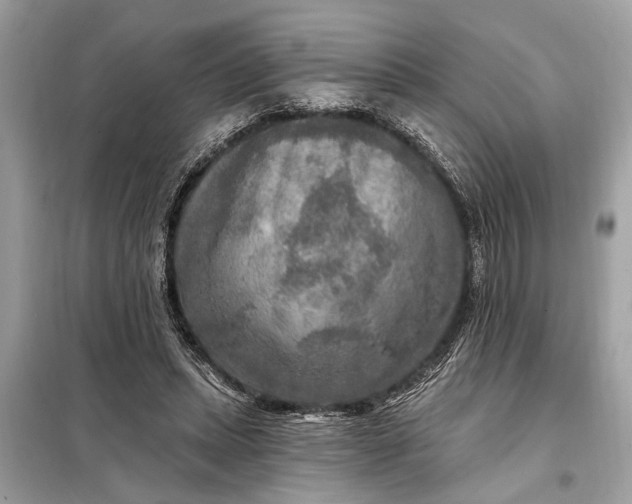 X0000098170447200805081005