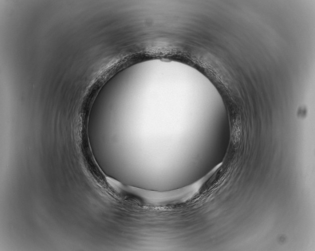 X0000098170448200805081005