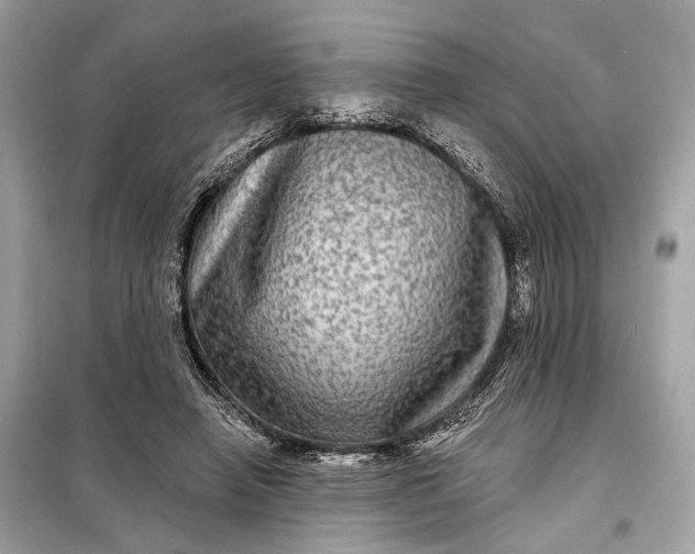 X0000098170450200805081005