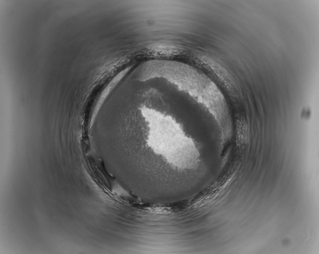 X0000098170451200805081005