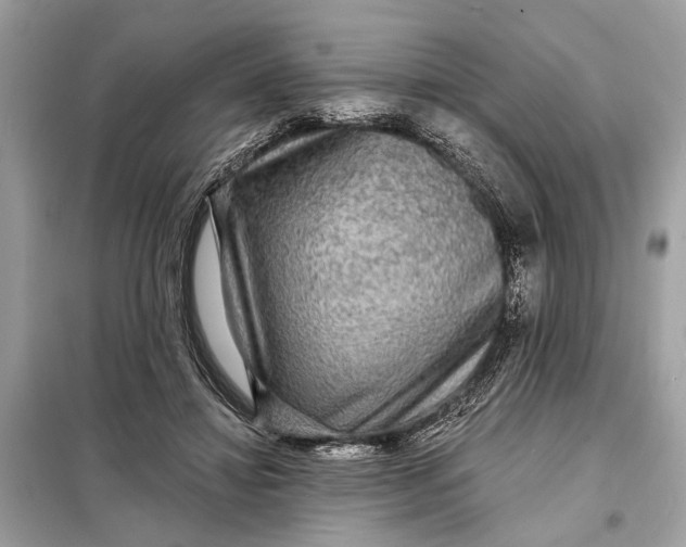 X0000098170452200805081005