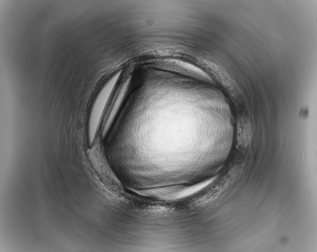 X0000098170453200805081005