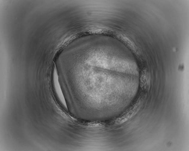 X0000098170454200805081005