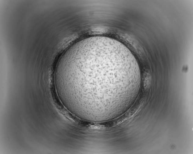 X0000098170455200805081005