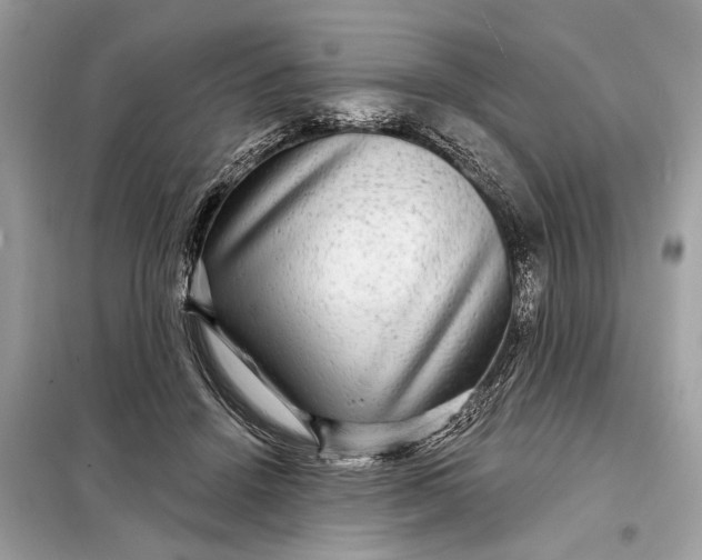 X0000098170456200805081005