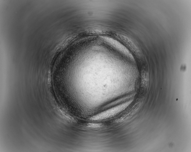 X0000098170457200805081005