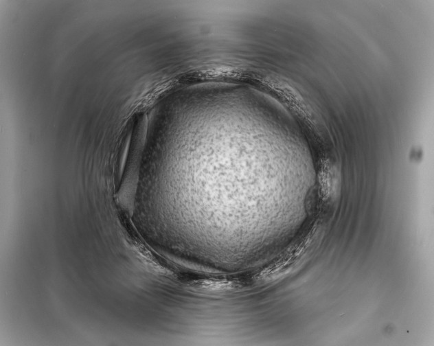 X0000098170458200805081005