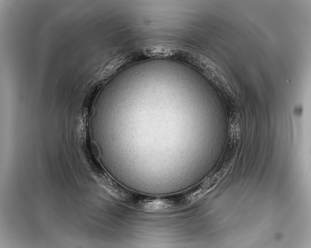 X0000098170460200805081005