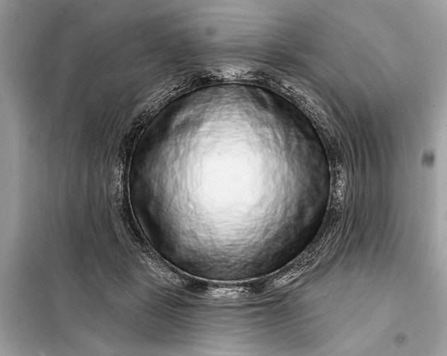 X0000098170461200805081005