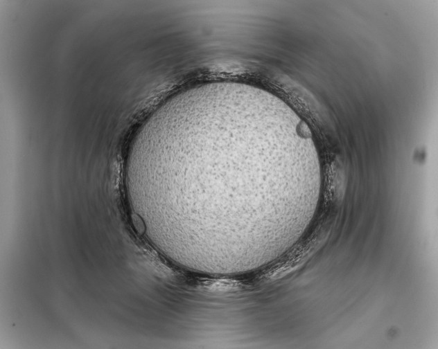 X0000098170463200805081005