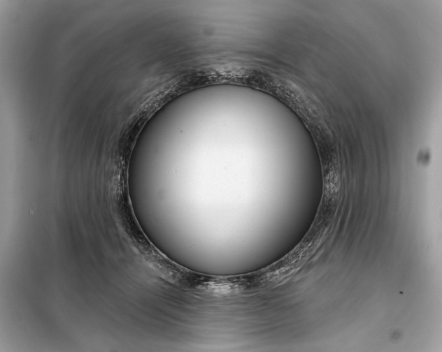 X0000098170464200805081005