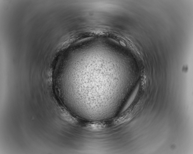 X0000098170466200805081005