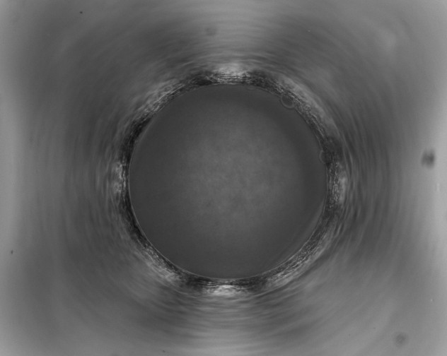 X0000098170467200805081005