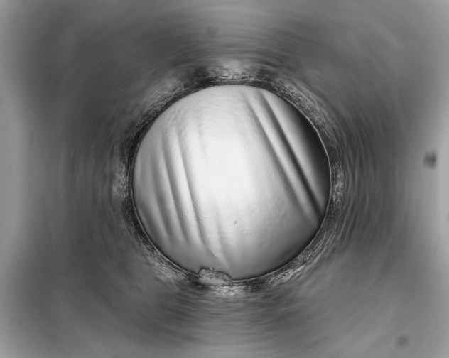 X0000098170469200805081005