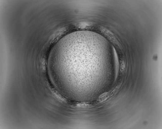 X0000098170470200805081005