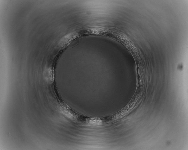 X0000098170471200805081005