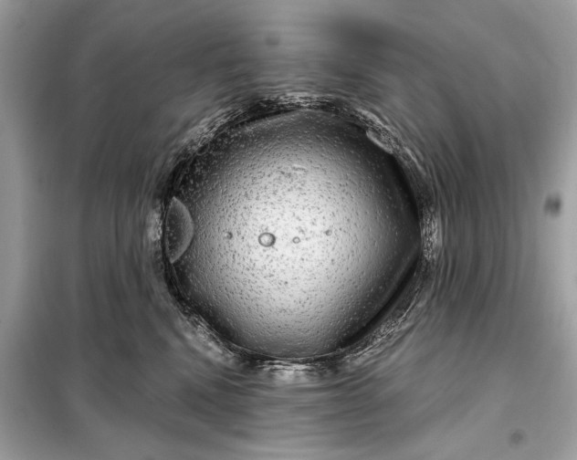 X0000098170472200805081005