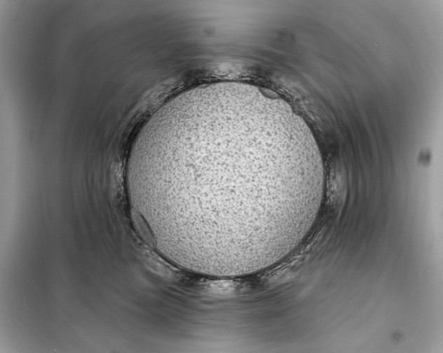 X0000098170473200805081005