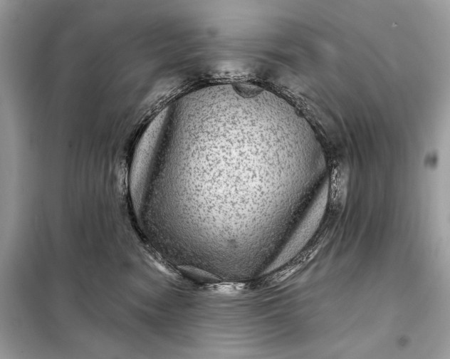 X0000098170474200805081005