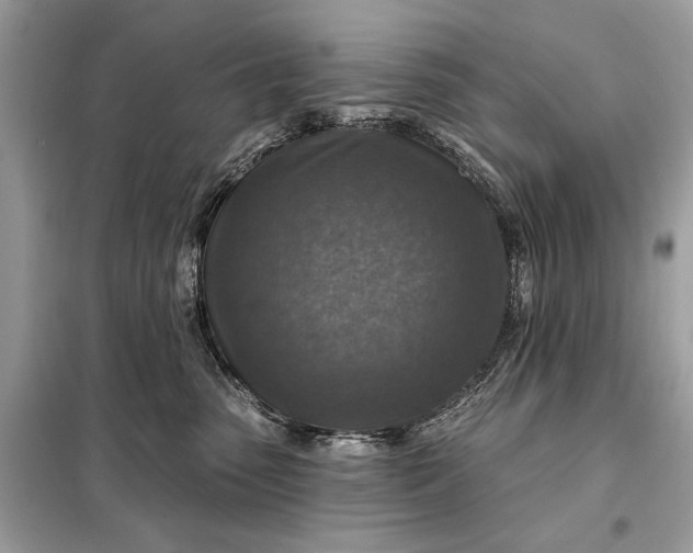 X0000098170475200805081005