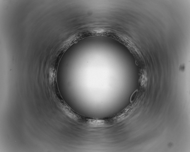 X0000098170476200805081005