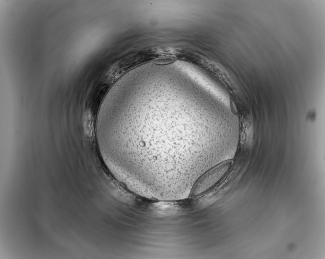 X0000098170477200805081005