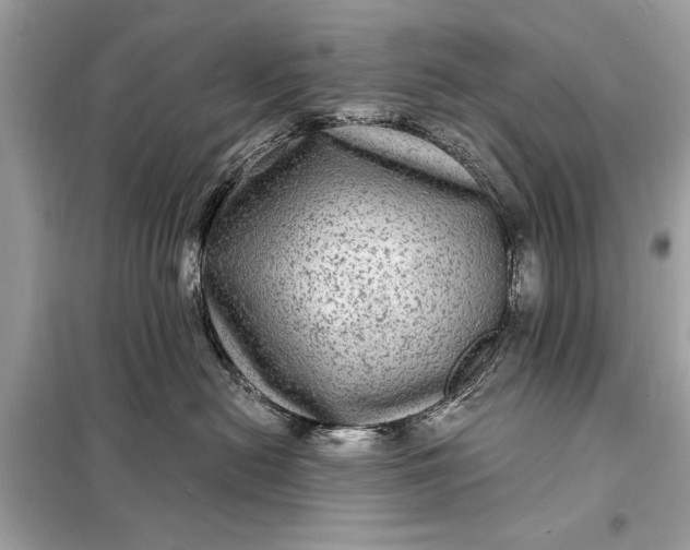 X0000098170478200805081005