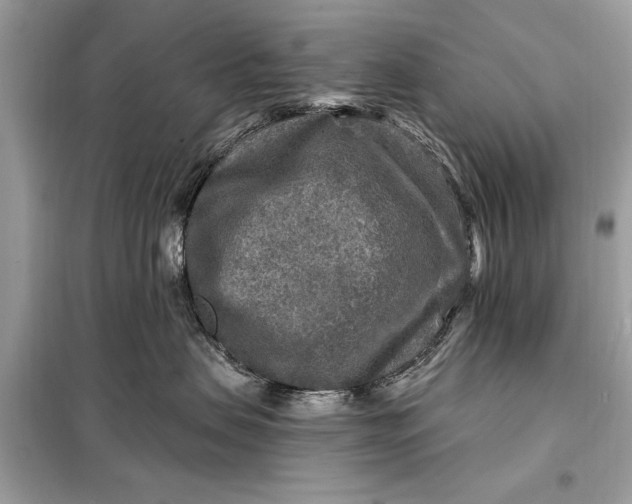 X0000098170479200805081005