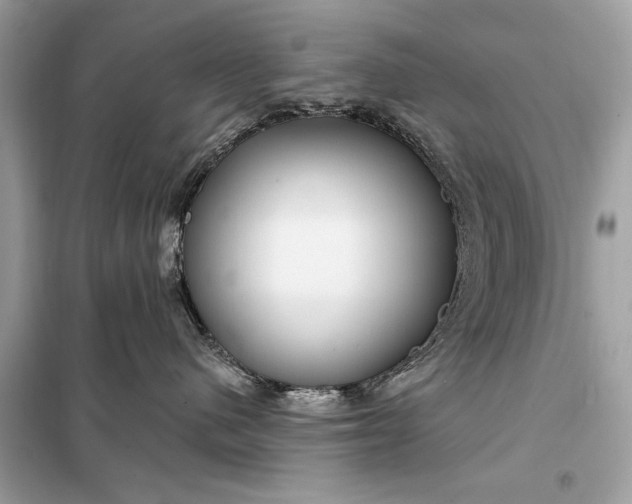 X0000098170480200805081005